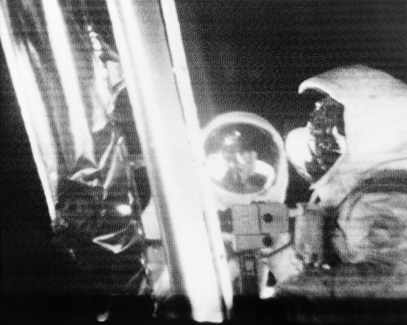 Armstrong and Aldrin beside Eagle, a frame from the live Apollo 11 telecast, 20 July 1969.
