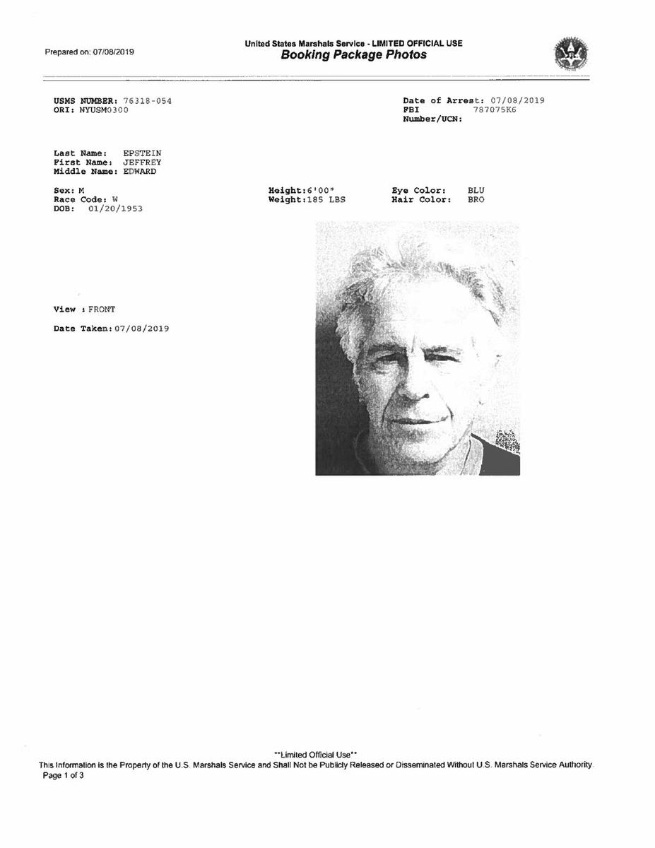 Epstein 2019 mugshot context for the Perversion of Justice nest.