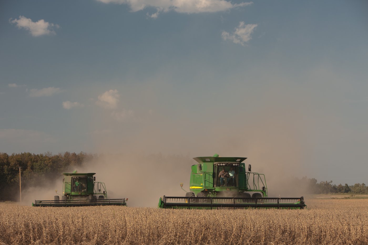 Soybean harvest.